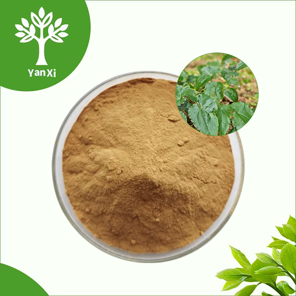 Horny Goat Weed Extract Powder Horny Goat Weed Extract Powder